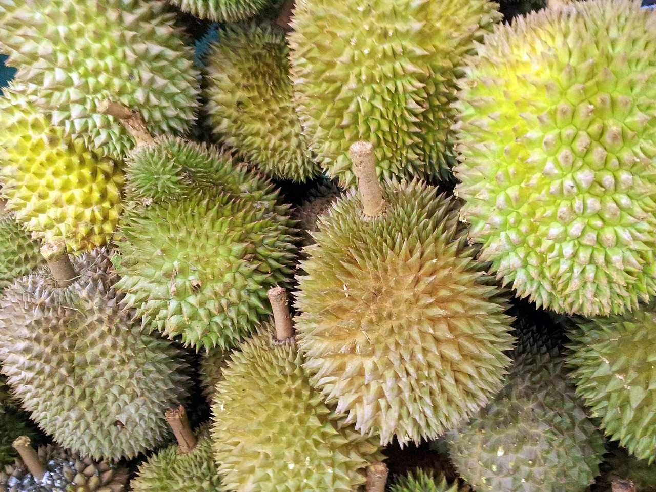 Czym jest durian?