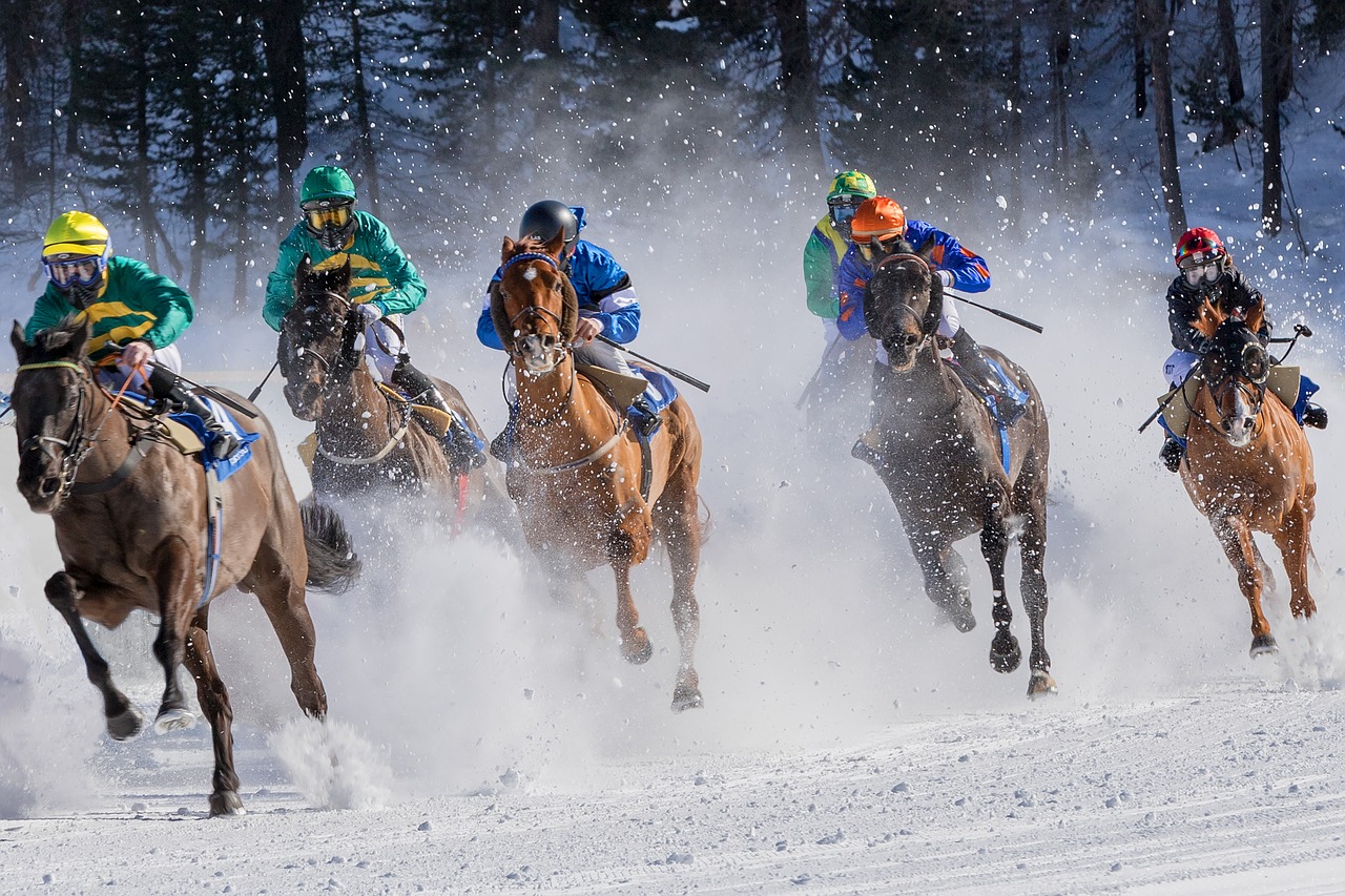 Konie uczestniczące w zawodach – jak dbać o ich zdrowie?